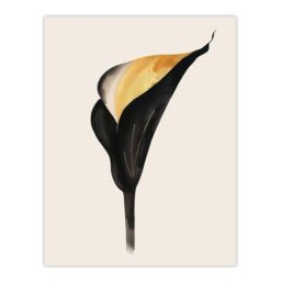 "Artery8 Elegant Calla Lily Flower Bloom Black Gold Floral Wall Art Print - Size: W24"" x H32""" - thumbnail 1