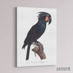 "Artery8 Black Palm Cockatoo Parrot Levaillant Canvas Wall Art Print in White - Size: W12"" x H16""" - thumbnail 2