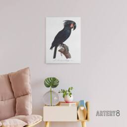 "Artery8 Black Palm Cockatoo Parrot Levaillant Canvas Wall Art Print in White - Size: W12"" x H16""" - thumbnail 3
