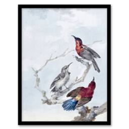 Artery8 Three Crimson Sunbirds Watercolour Schouman Framed Wall Art Print in Blue - Size: A4 - thumbnail 1