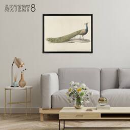 "Artery8 Pieter Pietersz Barbiers Blue Peacock Framed Canvas Wall Art Print in Beige - Size: W12"" x H16""" - thumbnail 3