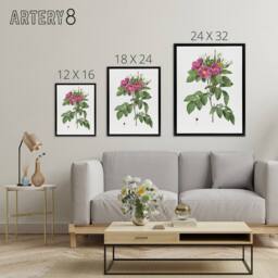 "Artery8 Carolina Rose Illustration Redoute Black Framed Canvas Wall Art in White - Size: W12"" x H16""" - thumbnail 4