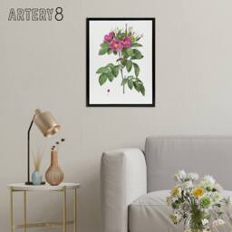 "Artery8 Carolina Rose Illustration Redoute Black Framed Canvas Wall Art in White - Size: W12"" x H16""" - thumbnail 3