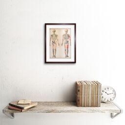"Artery8 Wall Art Print Human Body Anatomy Skeleton Muscles Art Framed 9x7 inch in Brown - Size: W7"" x H9""" - thumbnail 2
