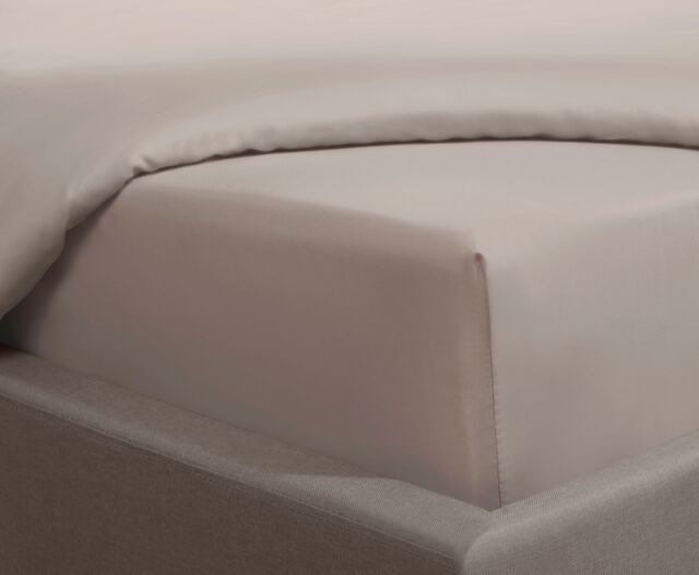 Smart Living Luxurious 300 Thread Count 100% Cotton Sateen Anti-Allergy Fitted Sheet in Beige - Size: Single Fitted - image 1
