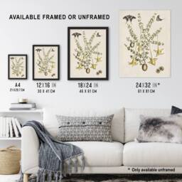 Artery8 Frutex Spinofus Flowers & Butterflies Catesby Framed Wall Art Print in Beige - Size: A4 - thumbnail 3