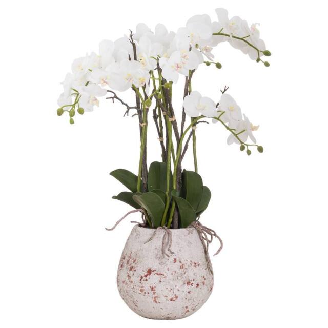 Love Lace Large Stone Potted Orchid With Roots Artificial Flower in Cream - image 1