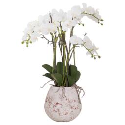 Love Lace Large Stone Potted Orchid With Roots Artificial Flower in Cream