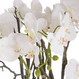 Love Lace Large Stone Potted Orchid With Roots Artificial Flower in Cream - thumbnail 2