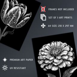 Artery8 Set of 3 Elegant Single Tulip Rose Zinnia Spring Flowers Black & White Floral Impact Artworks Unframed Wall Art Living Room Poster Prints - thumbnail 4
