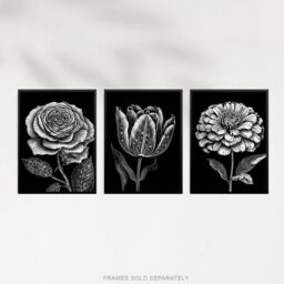 Artery8 Set of 3 Elegant Single Tulip Rose Zinnia Spring Flowers Black & White Floral Impact Artworks Unframed Wall Art Living Room Poster Prints - thumbnail 5