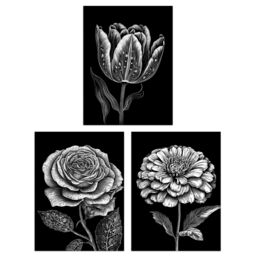 Artery8 Set of 3 Elegant Single Tulip Rose Zinnia Spring Flowers Black & White Floral Impact Artworks Unframed Wall Art Living Room Poster Prints - thumbnail 1