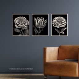 Artery8 Set of 3 Elegant Single Tulip Rose Zinnia Spring Flowers Black & White Floral Impact Artworks Unframed Wall Art Living Room Poster Prints - thumbnail 2