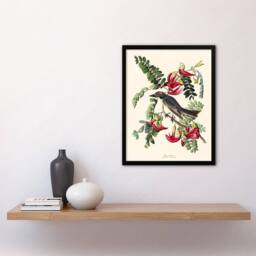 Artery8 John James Audubon Framed Wall Art Birds of America Piping Flycatcher in White - Size: A4 - thumbnail 2