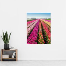 "Artery8 Pink Tulip Fields Holland Artwork Summer Floral Wall Art Print - Size: W18"" x H24""" - thumbnail 4