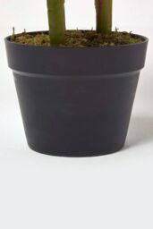 Homescapes Artificial Canna Lily Plant, 90 cm Tall in Green - thumbnail 3