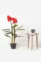 Homescapes Artificial Canna Lily Plant, 90 cm Tall in Green - thumbnail 6