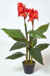 Homescapes Artificial Canna Lily Plant, 90 cm Tall in Green - thumbnail 1