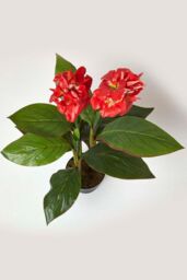 Homescapes Artificial Canna Lily Plant, 90 cm Tall in Green - thumbnail 2