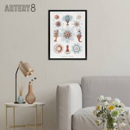 "Artery8 Siphonophorae Marine Life Haeckel Botanical Black Framed Canvas Art in White - Size: W12"" x H16""" - thumbnail 3