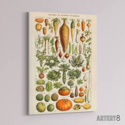 "Artery8 Millot Encyclopedia Page Vegetables Legumes Canvas Wall Art Print - Size: W18"" x H24""" - thumbnail 2