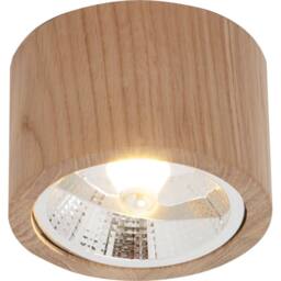 Netlighting Oak Surface Mounted Downlight Wood 1x GU10ES111 in Brown