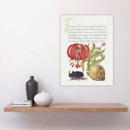 "Artery8 Turks Cap Lily Fig & Beetle Calligraphy Wall Art Poster Print in White - Size: W12"" x H16""" - thumbnail 4