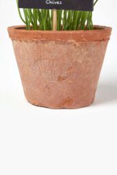 Homescapes Artificial Chive Plant in Decorative Pot in Terracotta - thumbnail 3