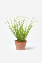 Homescapes Artificial Chive Plant in Decorative Pot in Terracotta - thumbnail 4