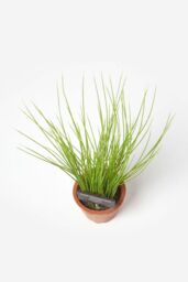 Homescapes Artificial Chive Plant in Decorative Pot in Terracotta - thumbnail 2