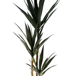 Leaf 170cm Artificial XL Triple Yukka Tree Tropical Plant in Green - thumbnail 2
