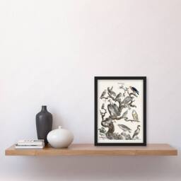 Artery8 Vintage Illustration Framed Wall Art Birds of Prey Perched on Tree in White - Size: A4 - thumbnail 2