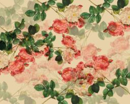 Origin Murals Classic Rose Design Wall Mural in Natural - Size: W350 cm x H280 cm - thumbnail 3