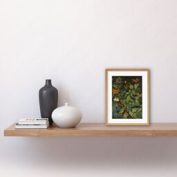"Artery8 Wall Art Print Audubon Style Birds & Insects in Jungle Artwork Framed 9X7 Inch in Beige - Size: W7"" x H9""" - thumbnail 2