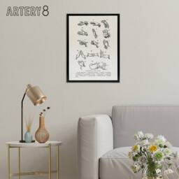 "Artery8 Positions of Hand Gestures Richardson Vintage Framed Canvas Wall Art in White - Size: W12"" x H16""" - thumbnail 3