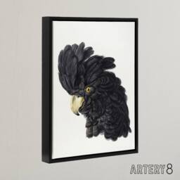 "Artery8 Head of a Black Cockatoo Watercolour Schouman Framed Canvas Wall Art in White - Size: W12"" x H16""" - thumbnail 2