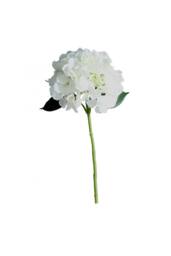 KDMD Short Stem Hydrangea Cream 2 Pack in White - thumbnail 3