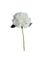 KDMD Short Stem Hydrangea Cream 2 Pack in White - thumbnail 4