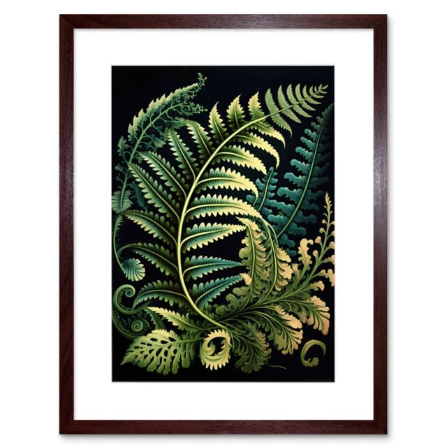 "Artery8 Wall Art Print Fern Fronds Ernst Haeckel Style Leaf Artwork Framed 9X7 Inch in Brown - Size: W7"" x H9""" - image 1