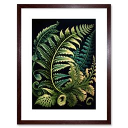 "Artery8 Wall Art Print Fern Fronds Ernst Haeckel Style Leaf Artwork Framed 9X7 Inch in Brown - Size: W7"" x H9""" - thumbnail 1