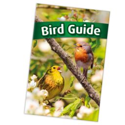 JML Bird Song Clock in White - thumbnail 4
