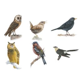JML Bird Song Clock in White - thumbnail 3