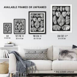 "Artery8 Mollusks Clams Oysters Haeckel Botanical Wall Art Print Poster in Black - Size: W18"" x H24""" - thumbnail 3