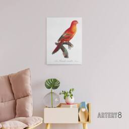 "Artery8 The Crimson Shining Parrot Levaillant Canvas Wall Art Print in White - Size: W12"" x H16""" - thumbnail 3