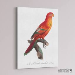 "Artery8 The Crimson Shining Parrot Levaillant Canvas Wall Art Print in White - Size: W12"" x H16""" - thumbnail 2