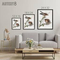 "Artery8 Red Shouldered Hawk Audubon Nature Black Framed Canvas Wall Art in White - Size: W12"" x H16""" - thumbnail 4