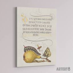 "Artery8 Caterpillar Pear & Butterfly Calligraphy Canvas Wall Art Print in White - Size: W12"" x H16""" - thumbnail 2