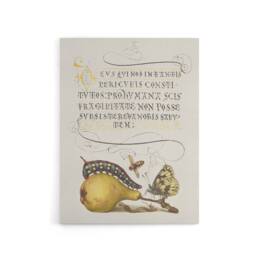 "Artery8 Caterpillar Pear & Butterfly Calligraphy Canvas Wall Art Print in White - Size: W12"" x H16""" - thumbnail 1