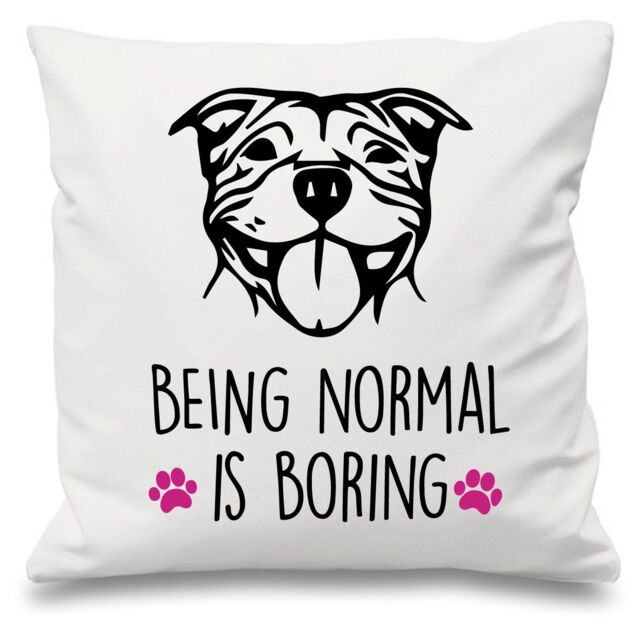 "60 SECOND MAKEOVER Staffy Being Normal Is Boring White Cushion Cover 16"" x 16"" Mum Friend Gift Staffordshire Bull Terrier - Size: 40 cm x 40 cm"