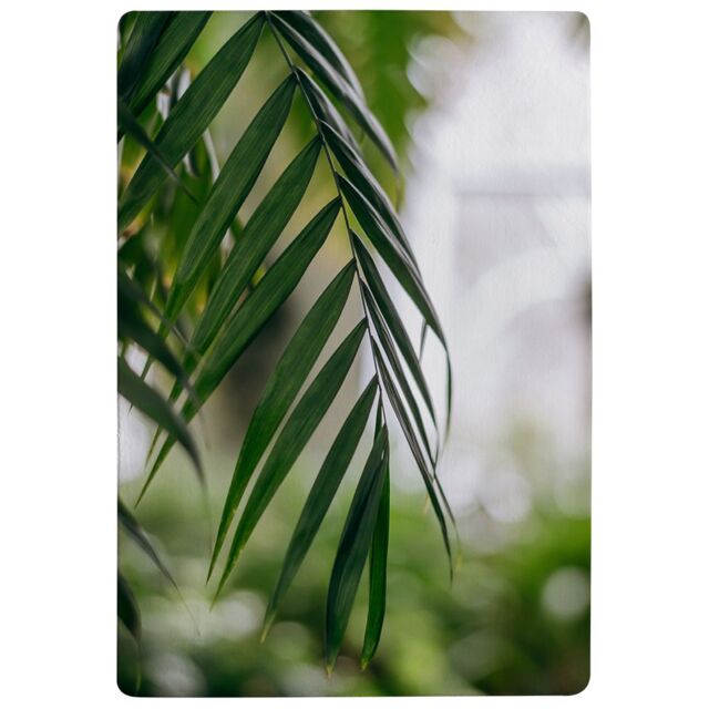 Benjamin Tate Design Closeup Of Green Palm Leaf Designer Rug in Natural - Size: Large - image 1
